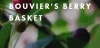Bouvier's Berry Basket